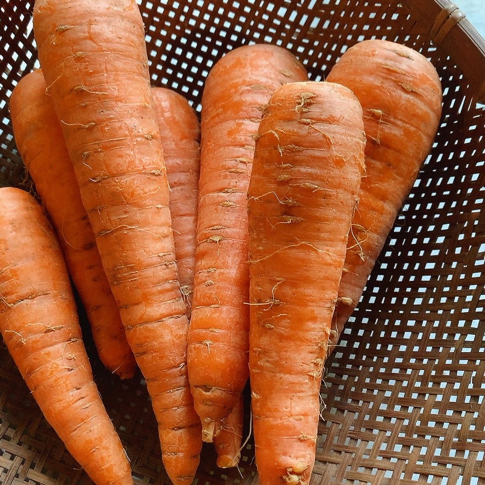 キャロットケーキ