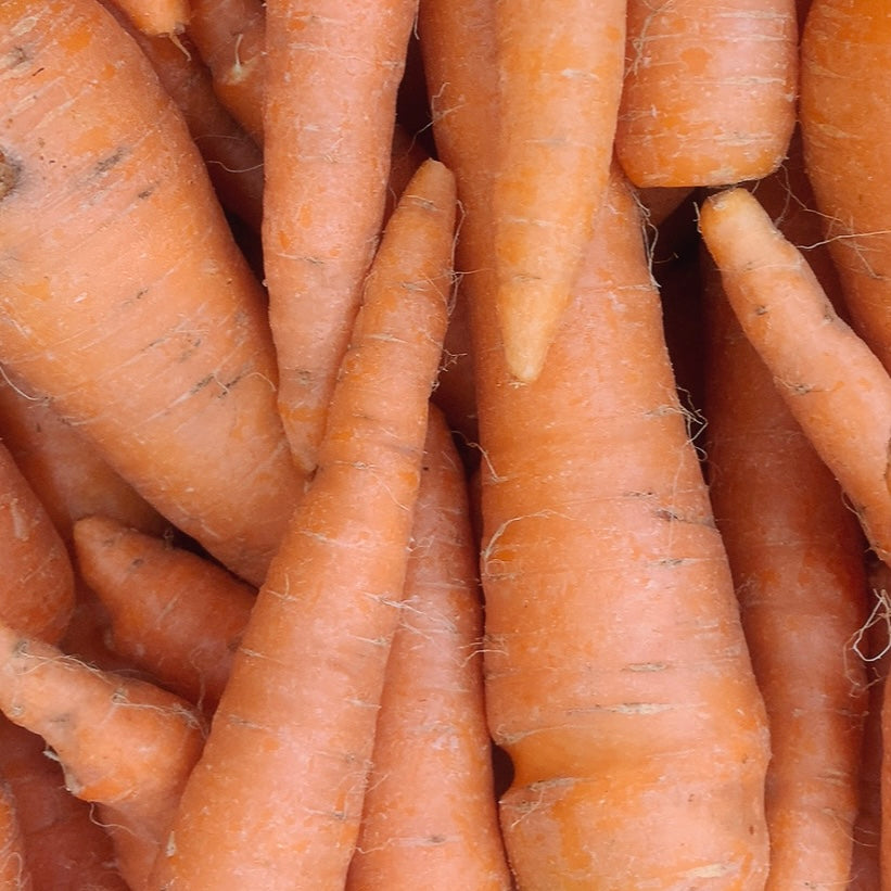 キャロットケーキ